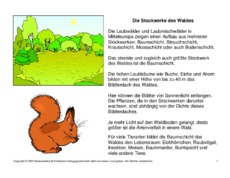 Fehlerlesen-Stockwerke-des-Waldes-Lesetext-1-4.pdf